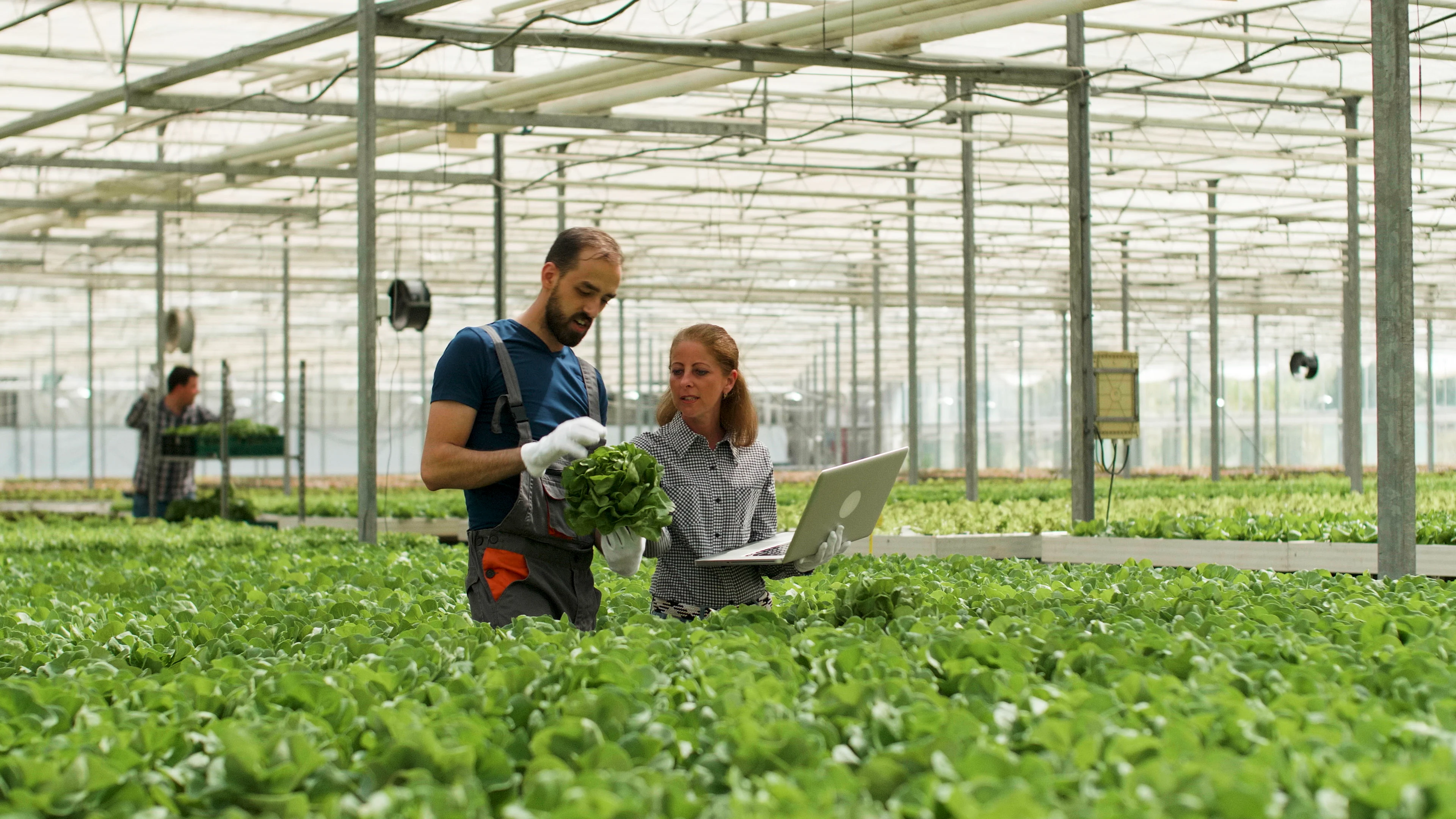 Smart Farming: Wie Technologie die Landwirtschaft revolutioniert